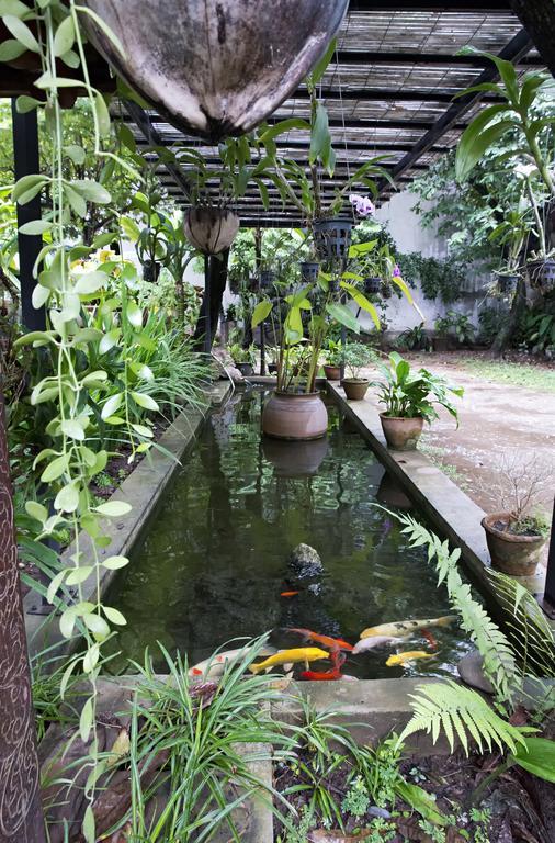 Lani'S House By The Ponds Ξενοδοχείο Βιεντιάν Εξωτερικό φωτογραφία